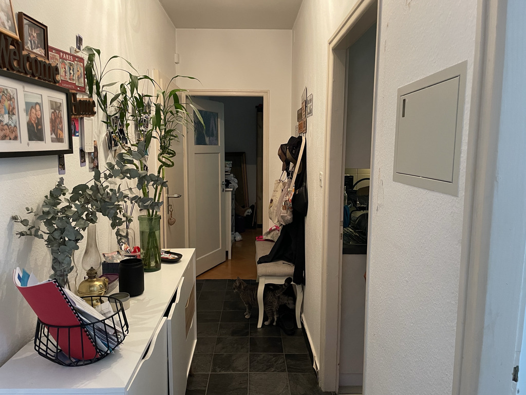 Picture 8