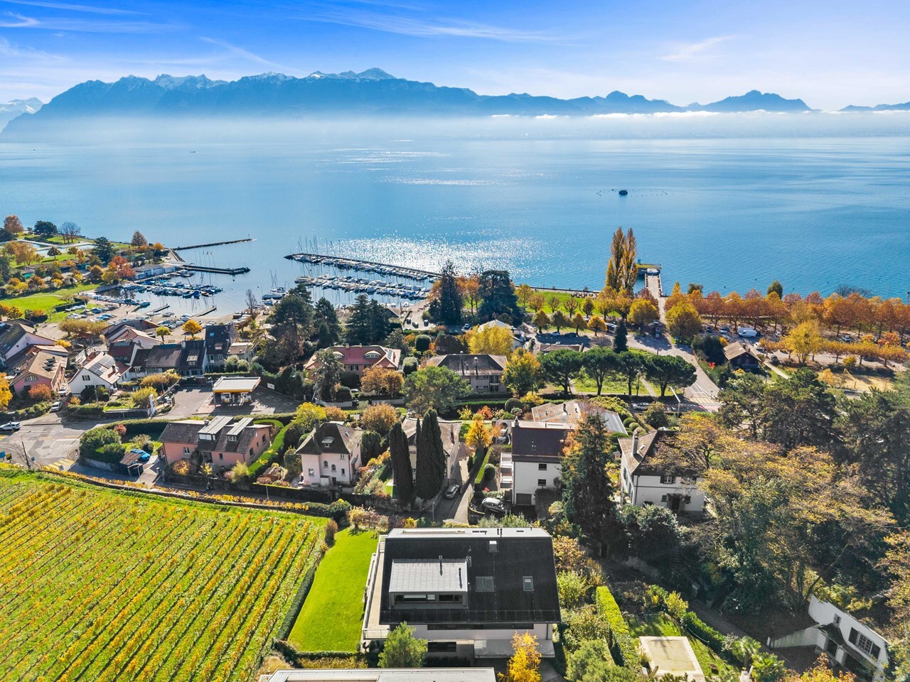 Immagine di copertina