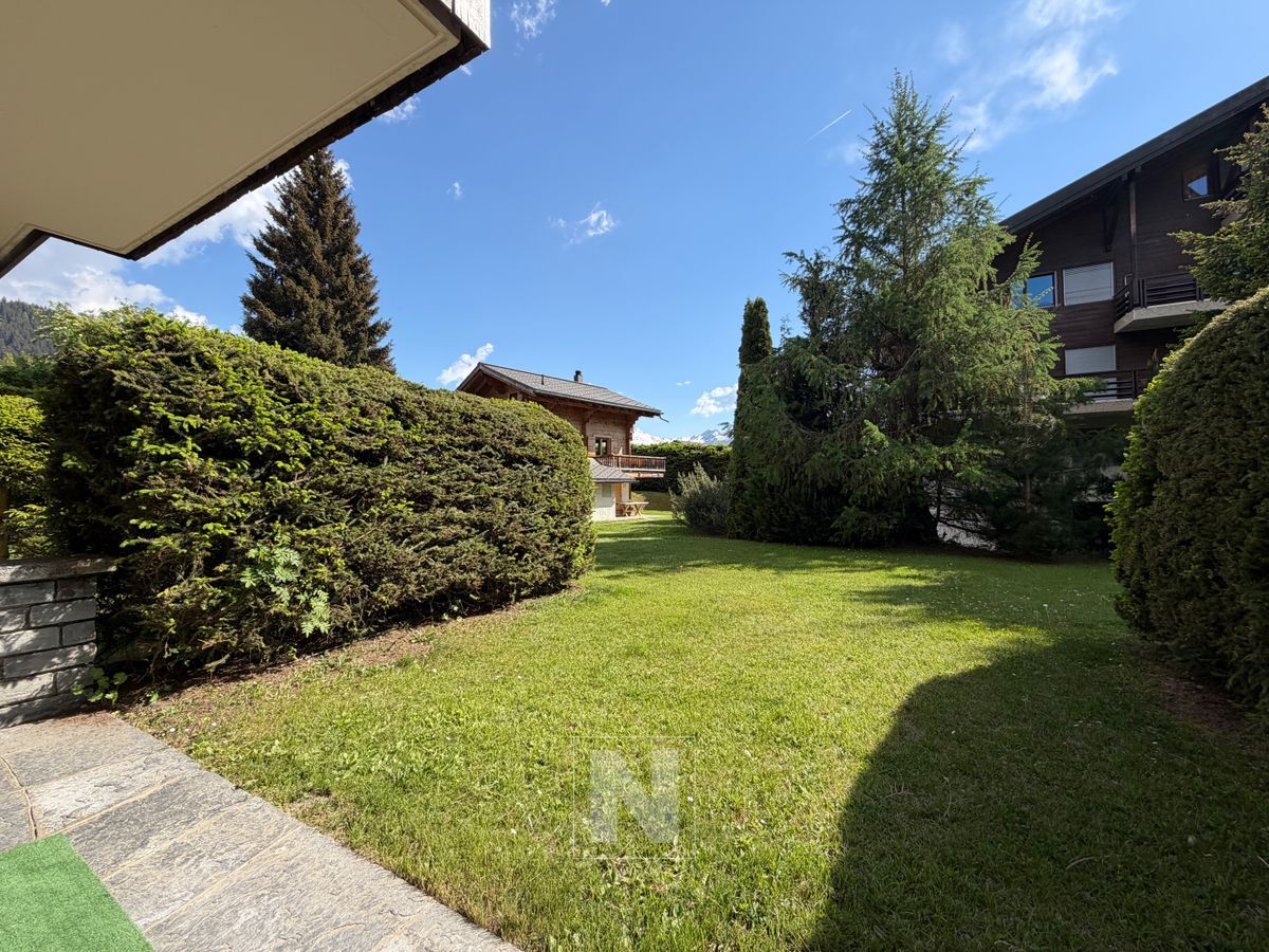 Foto 11