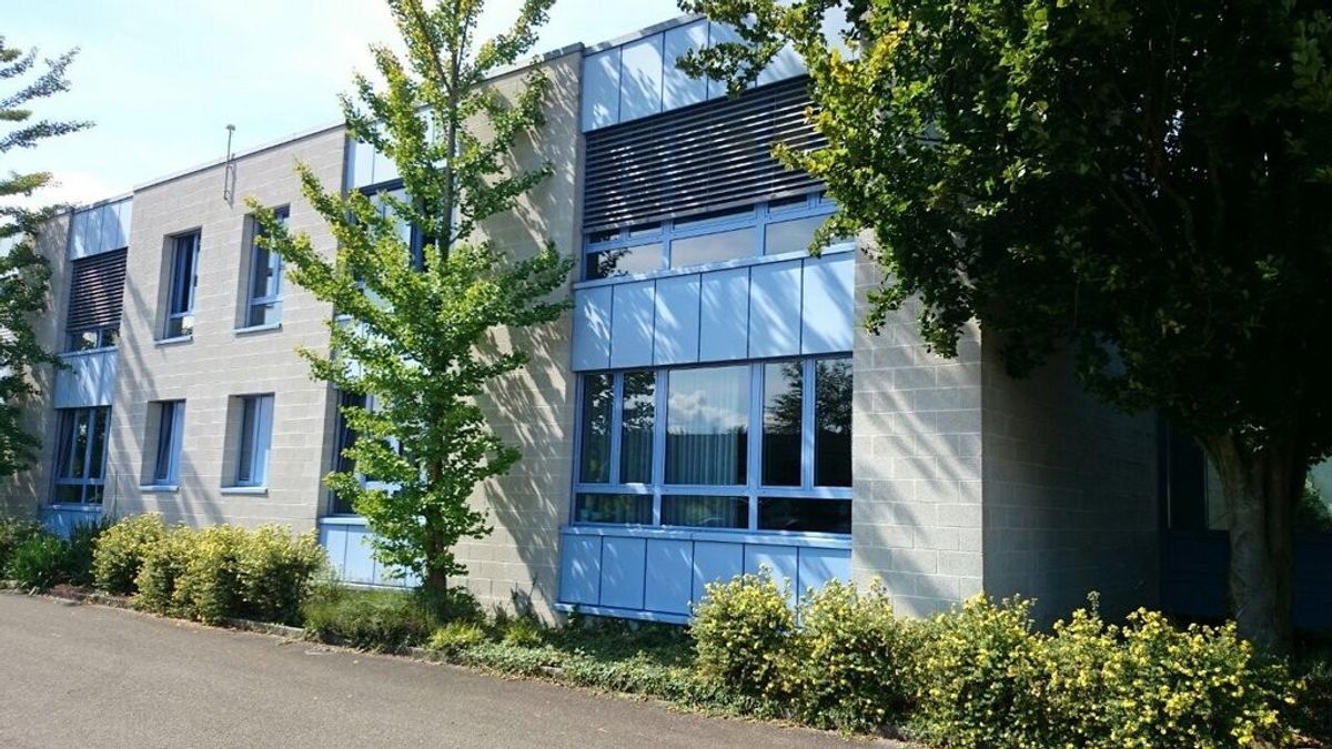 Foto 1
