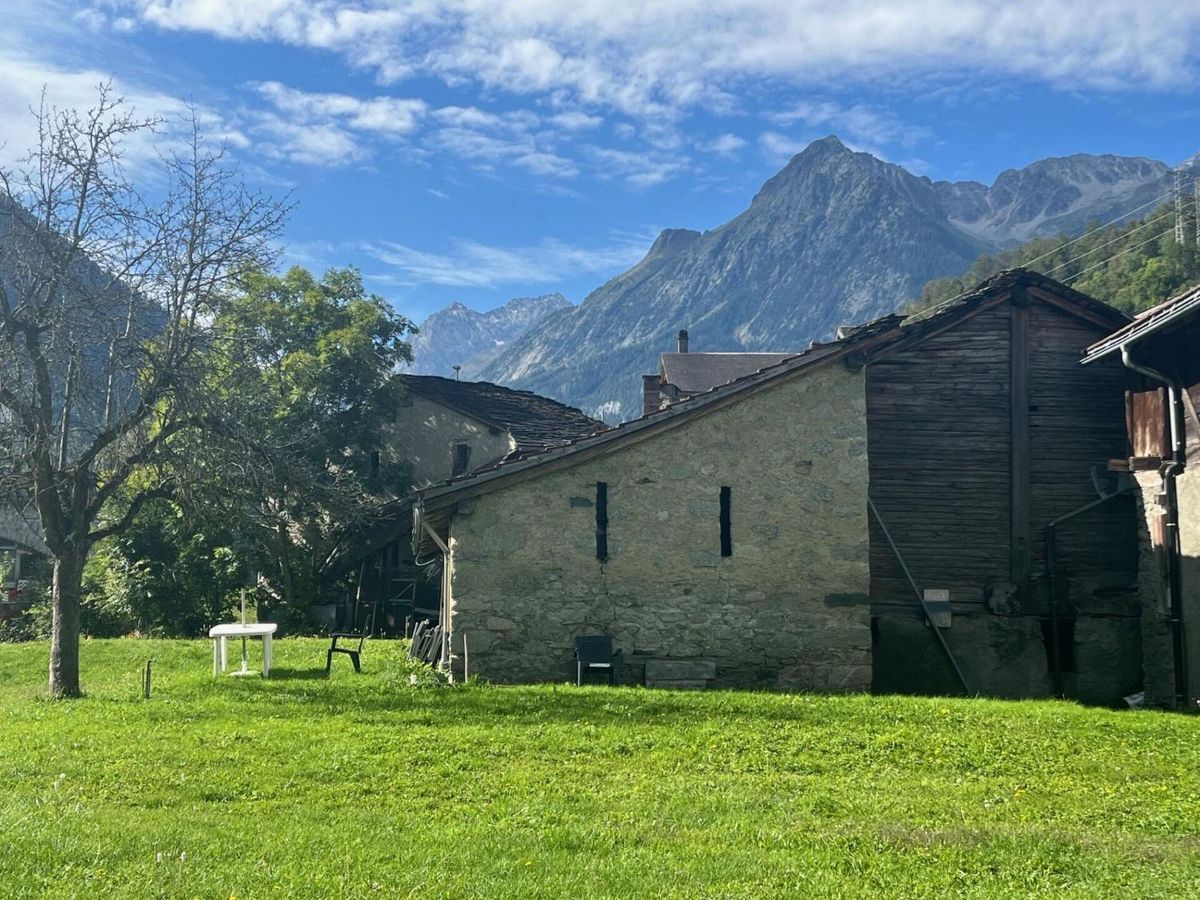 Immagine di copertina