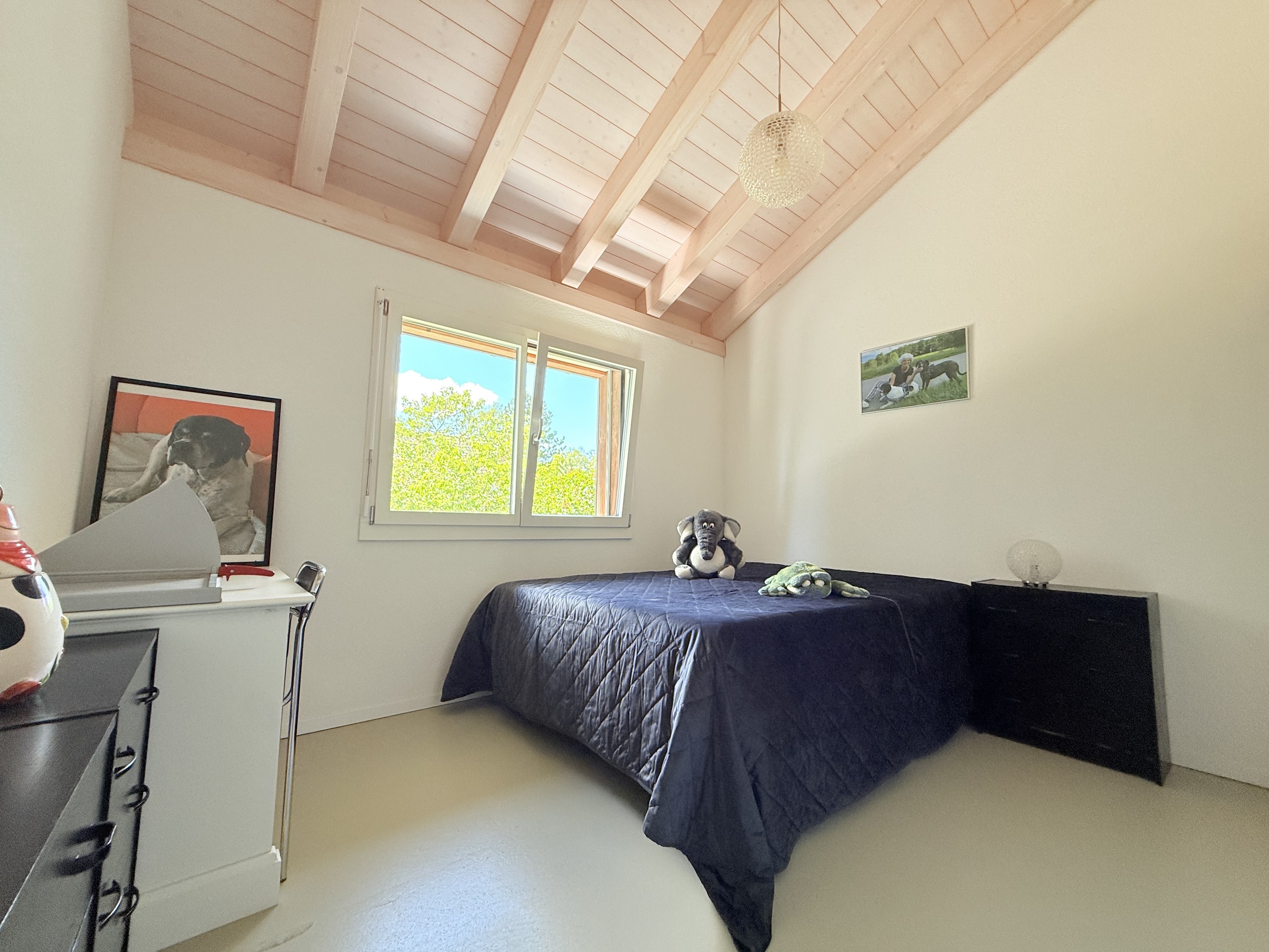 Photo 6
