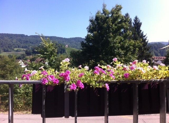 Ausblick