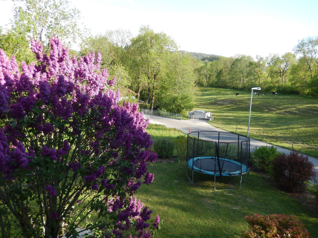 Jardin