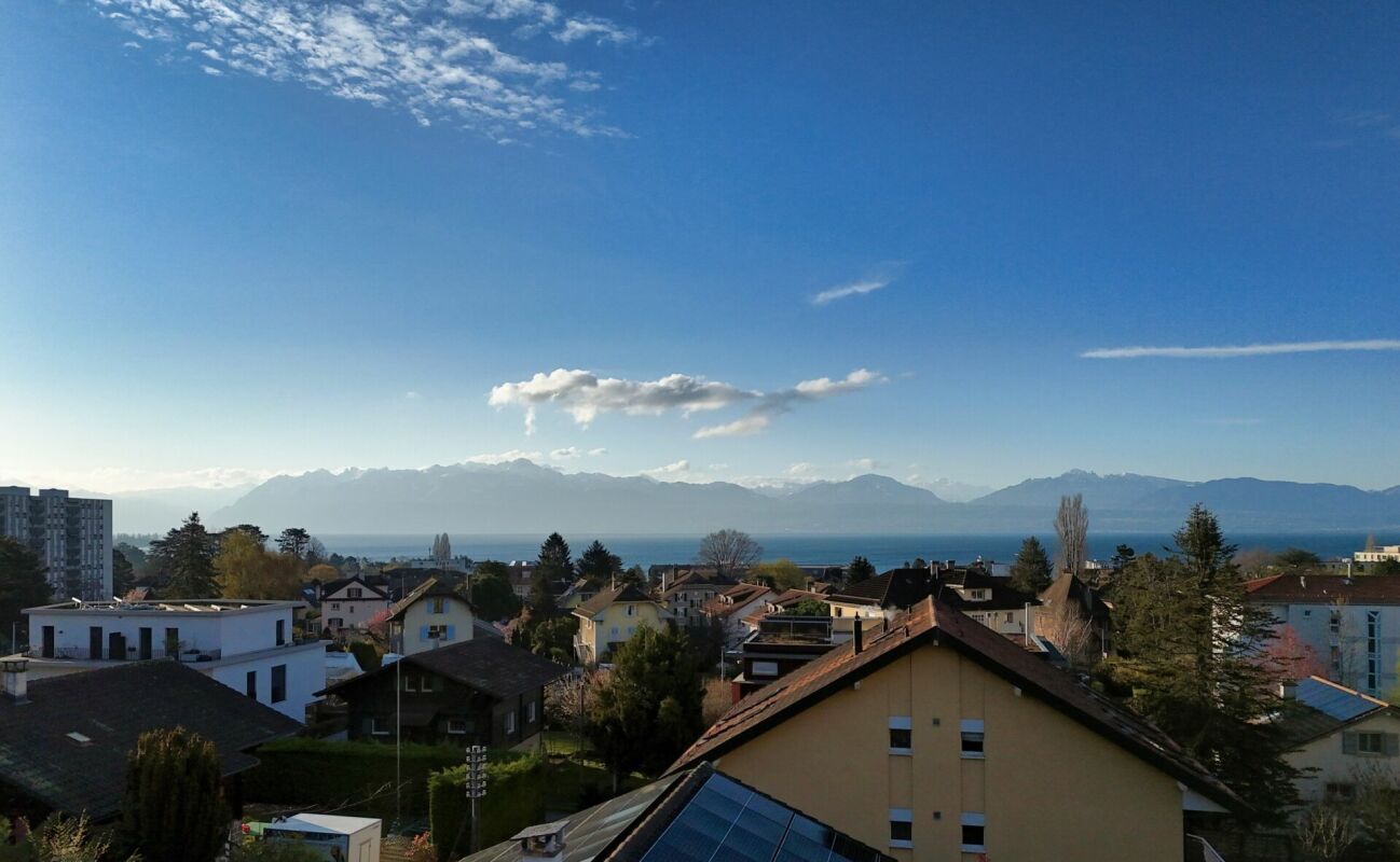 Immagine di copertina 3