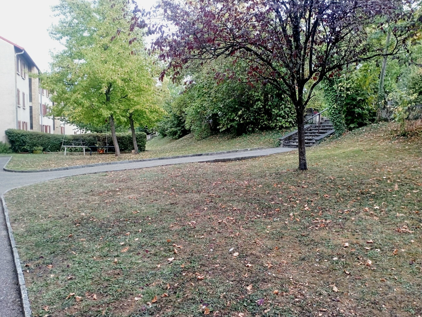 Interior view 2
