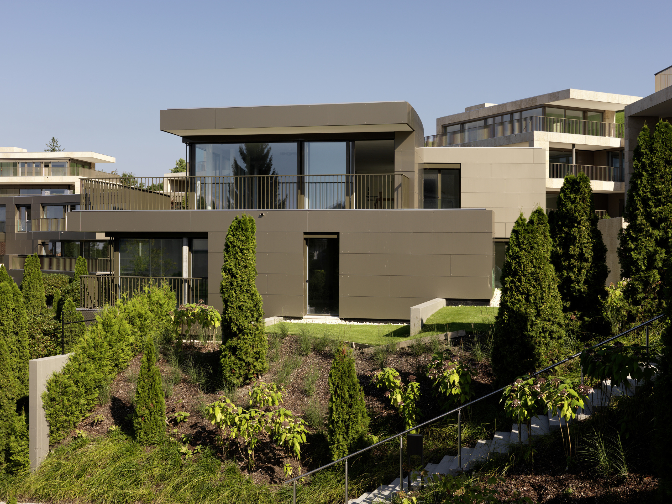 Immagine di copertina