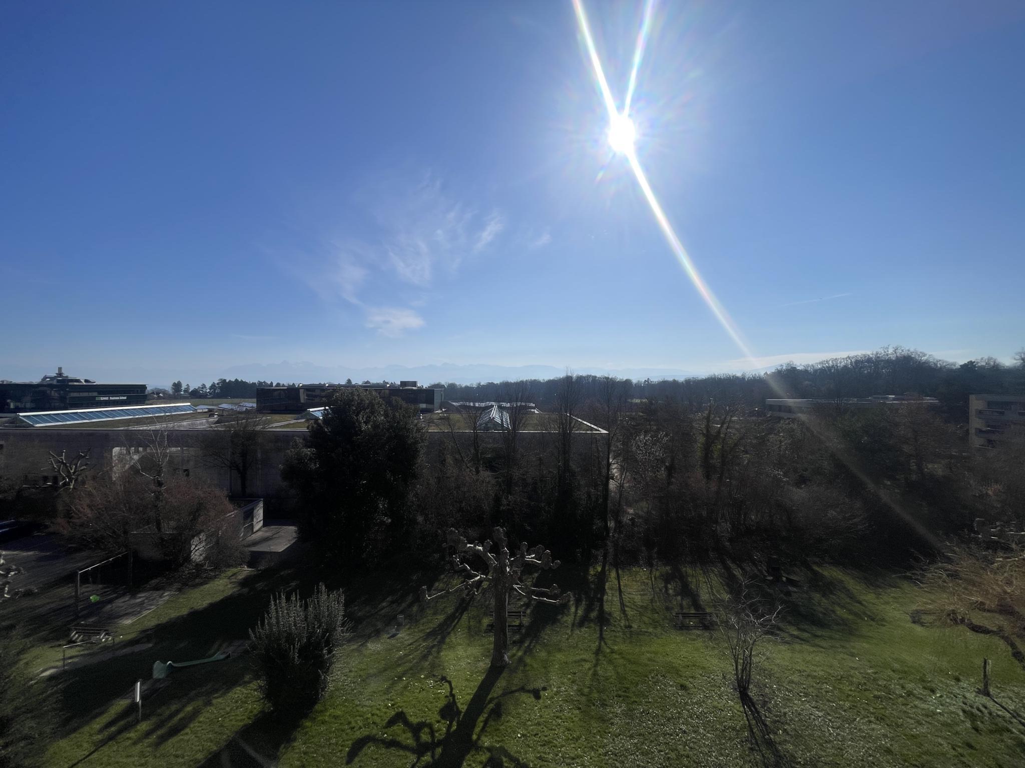 Firstview