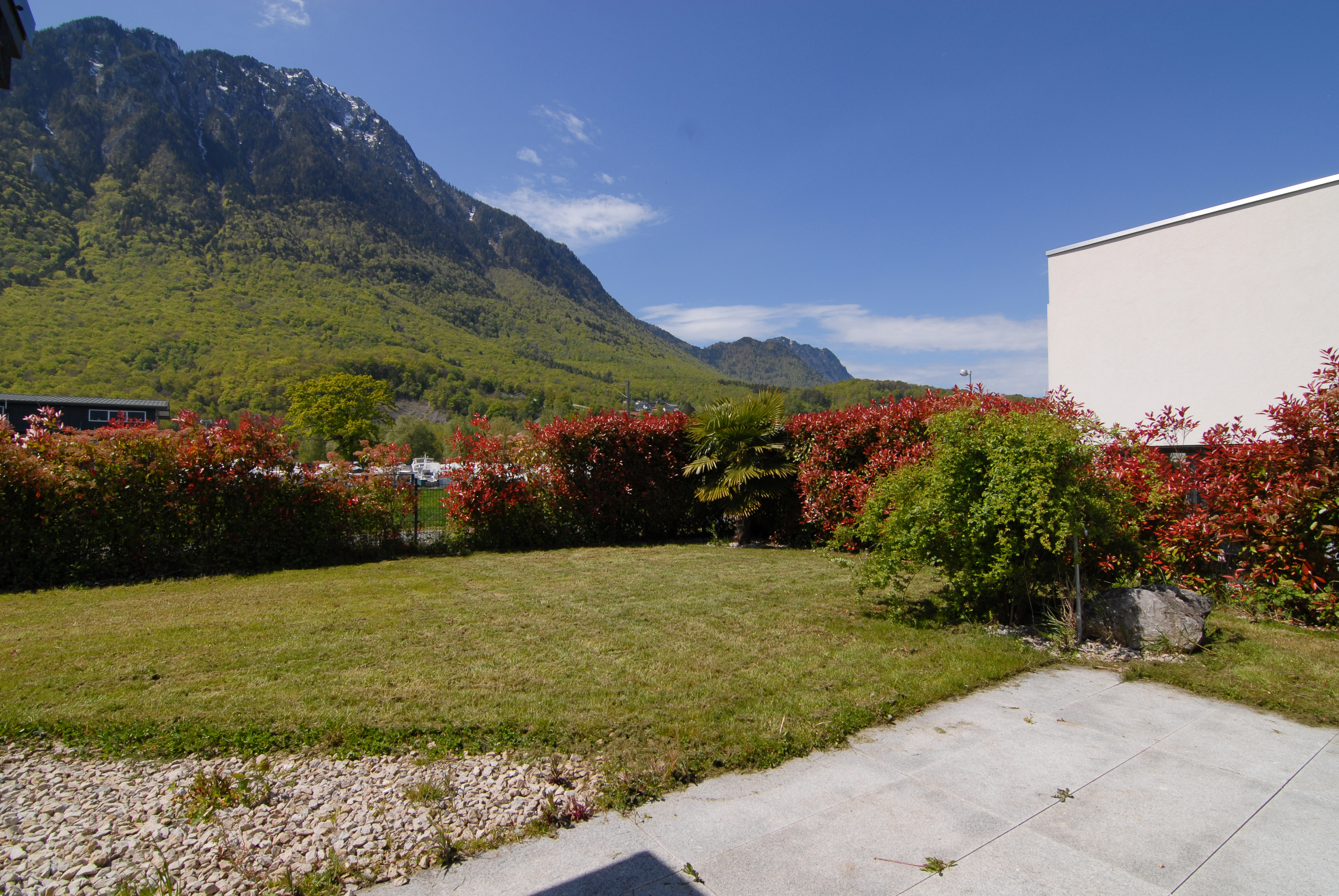 Vue sur la végétation environnante 