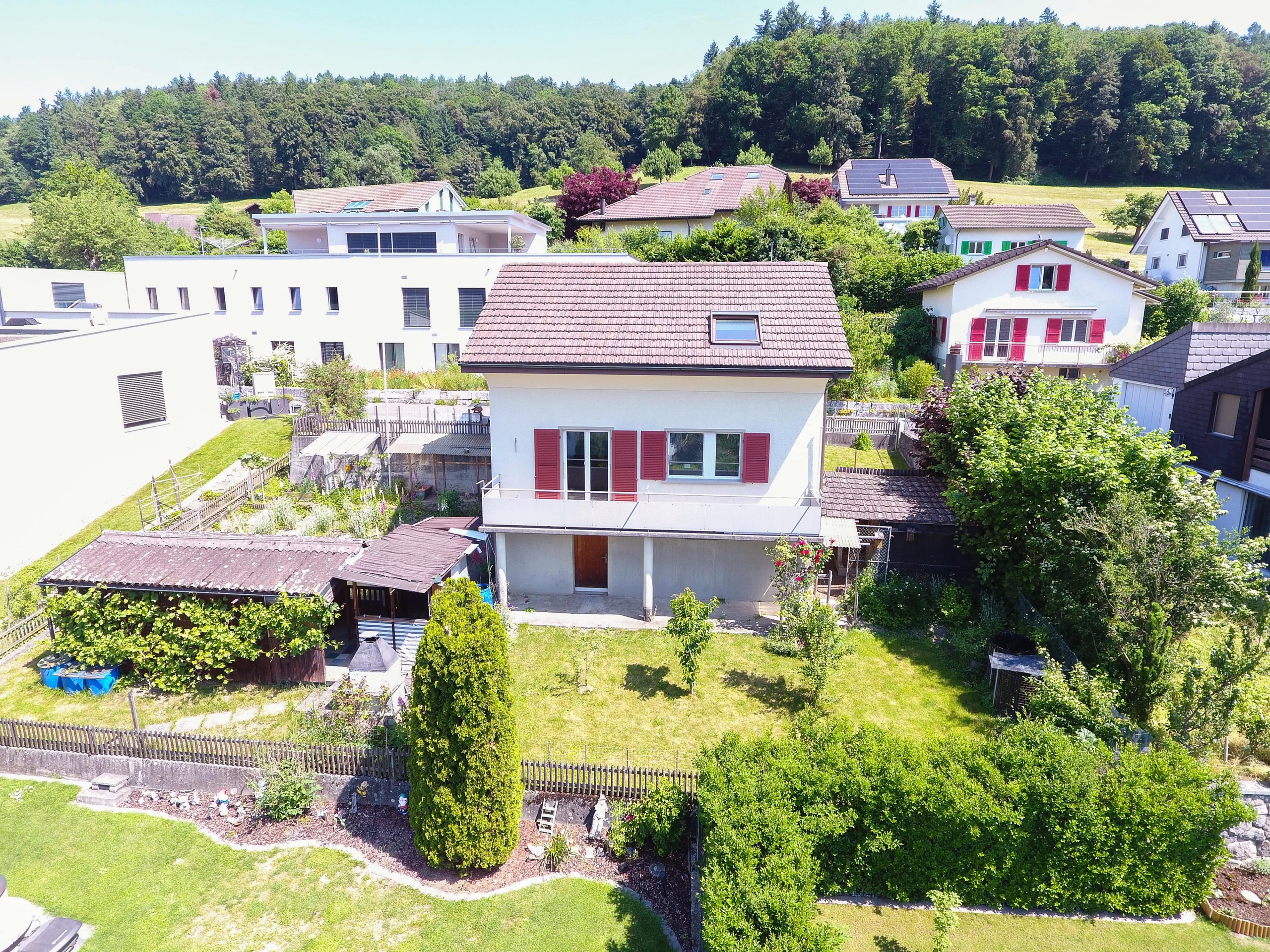 Immagine di copertina