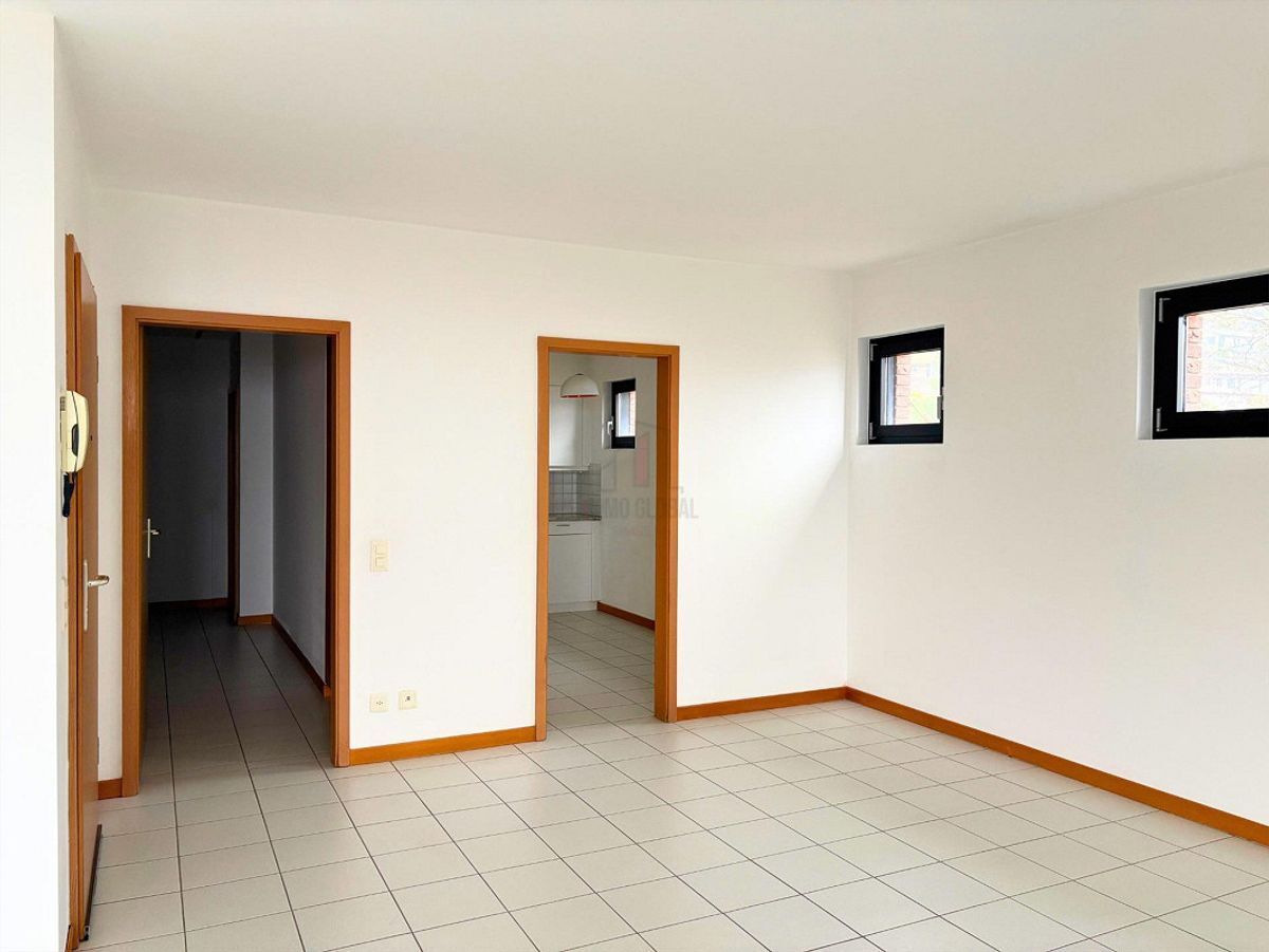 Picture 3