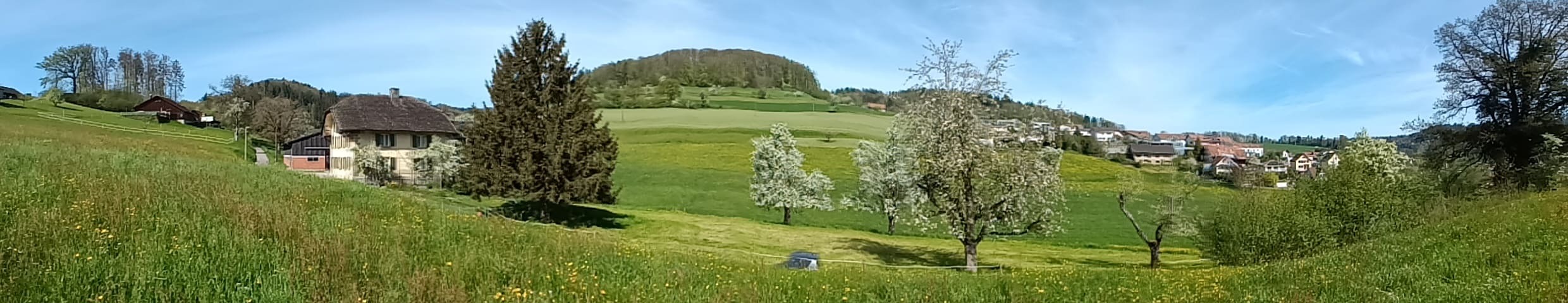 Hofumgebung - Baumgarten Hofumgebung - Baumgarten