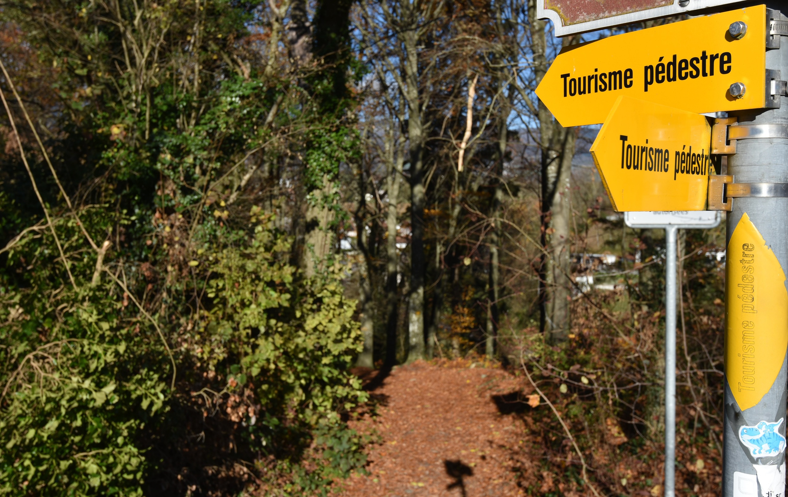 Vivifiantes promenades à quelques pas de l'immeuble