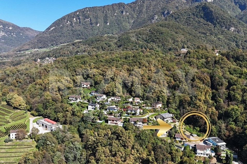 Immagine di copertina 4