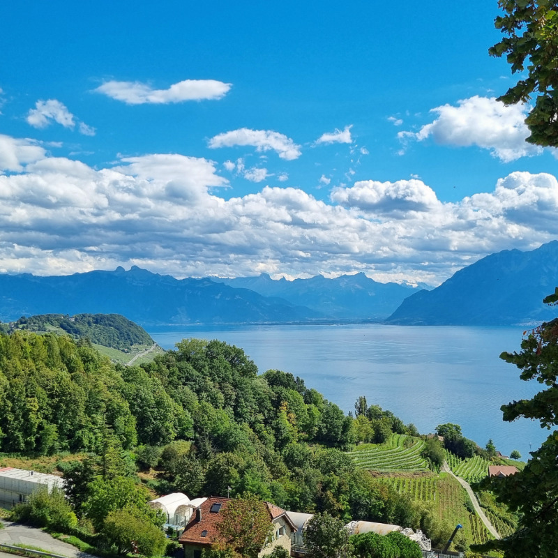 Premier coup d'oeil 1