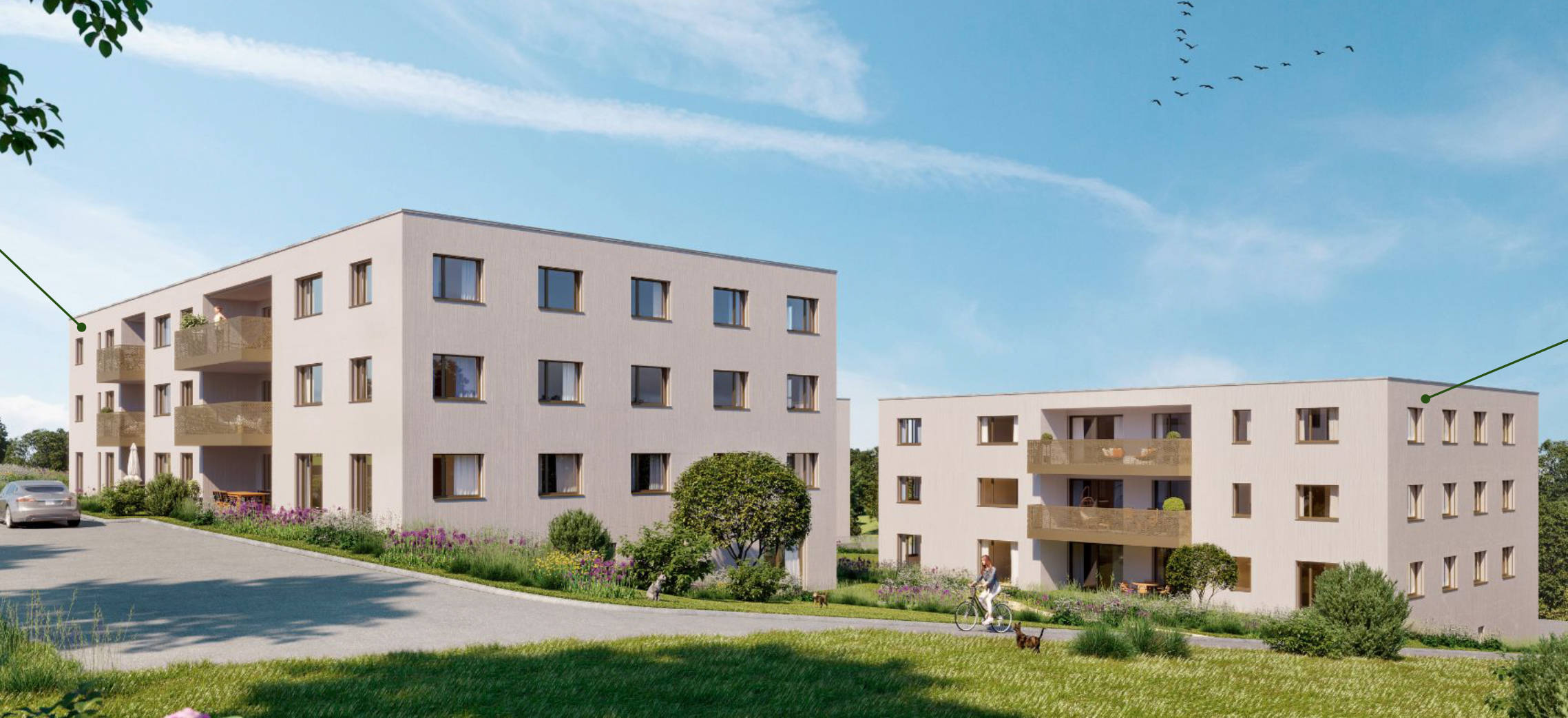 Premier coup d'oeil 1