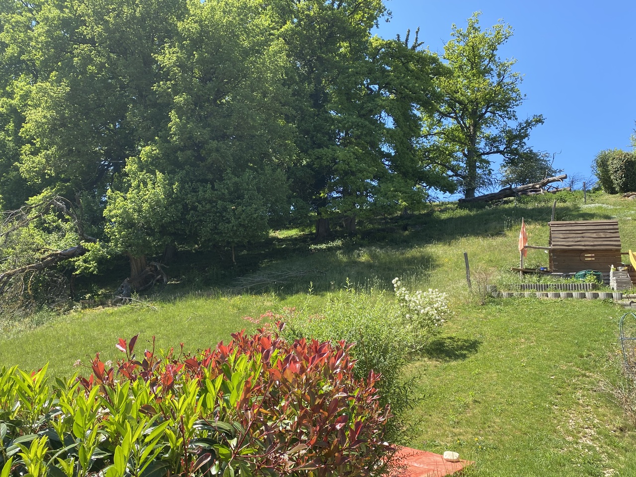 Foto 42