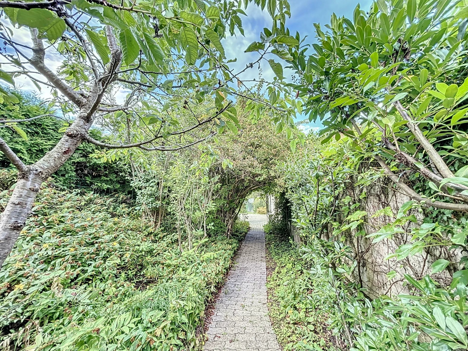 Premier coup d'oeil 2