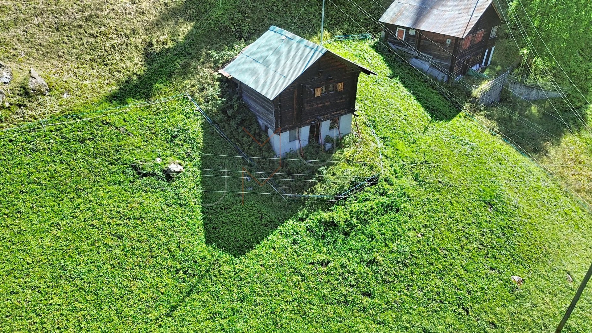 Picture 10