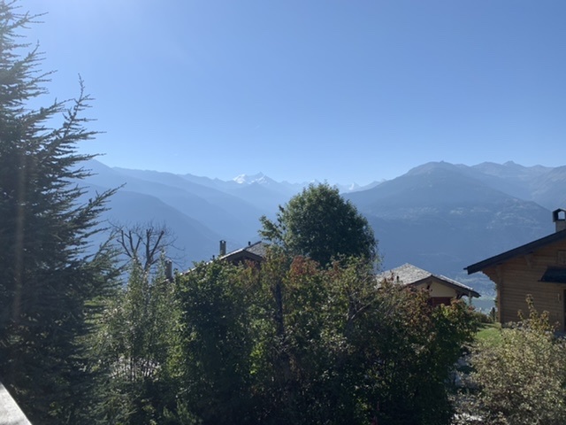 Chalet, 4.5 pièces + mezzanine 