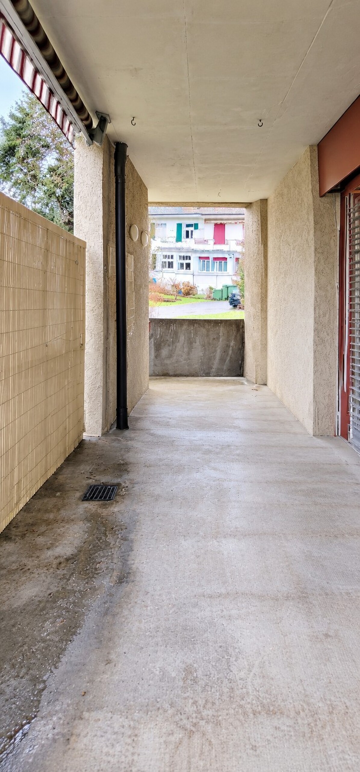 Picture 12