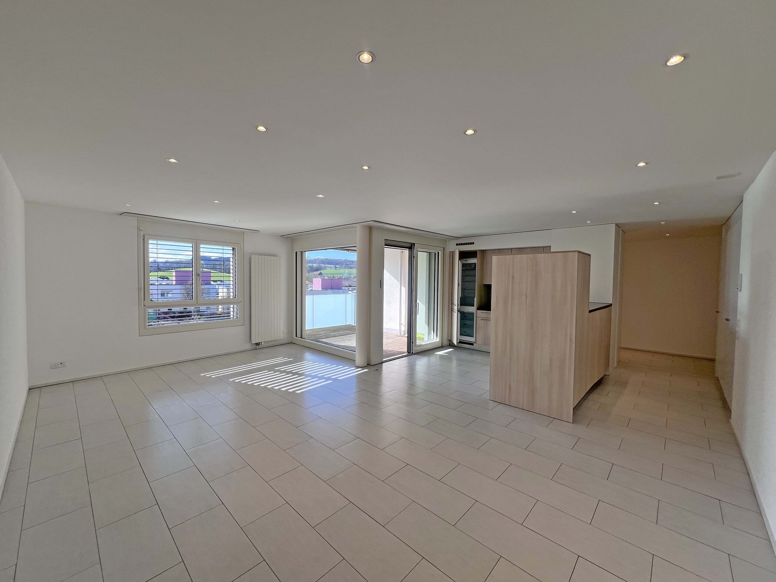 Séjour/salle à manger/cuisine/entrée