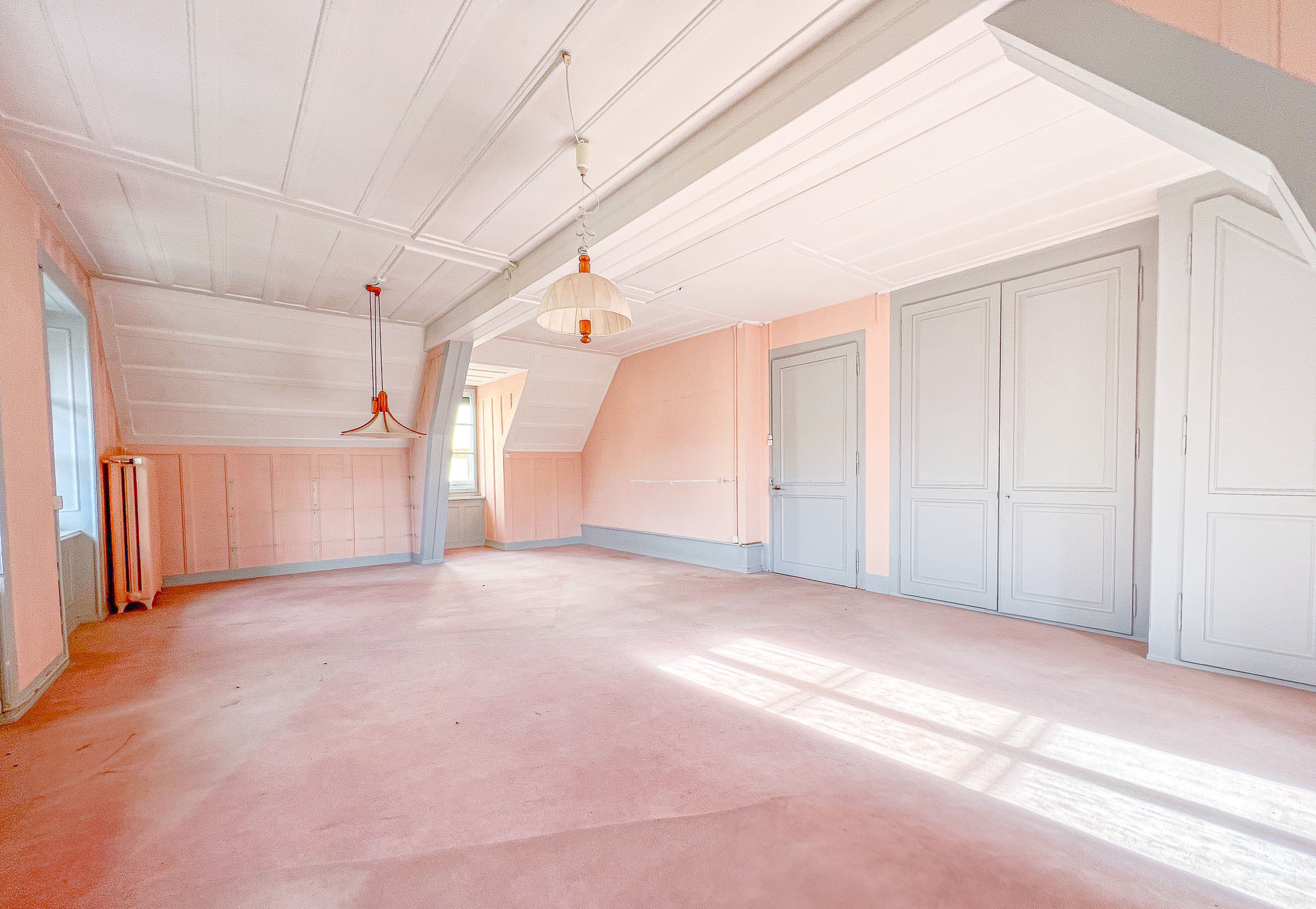 Grand salon lumineux 