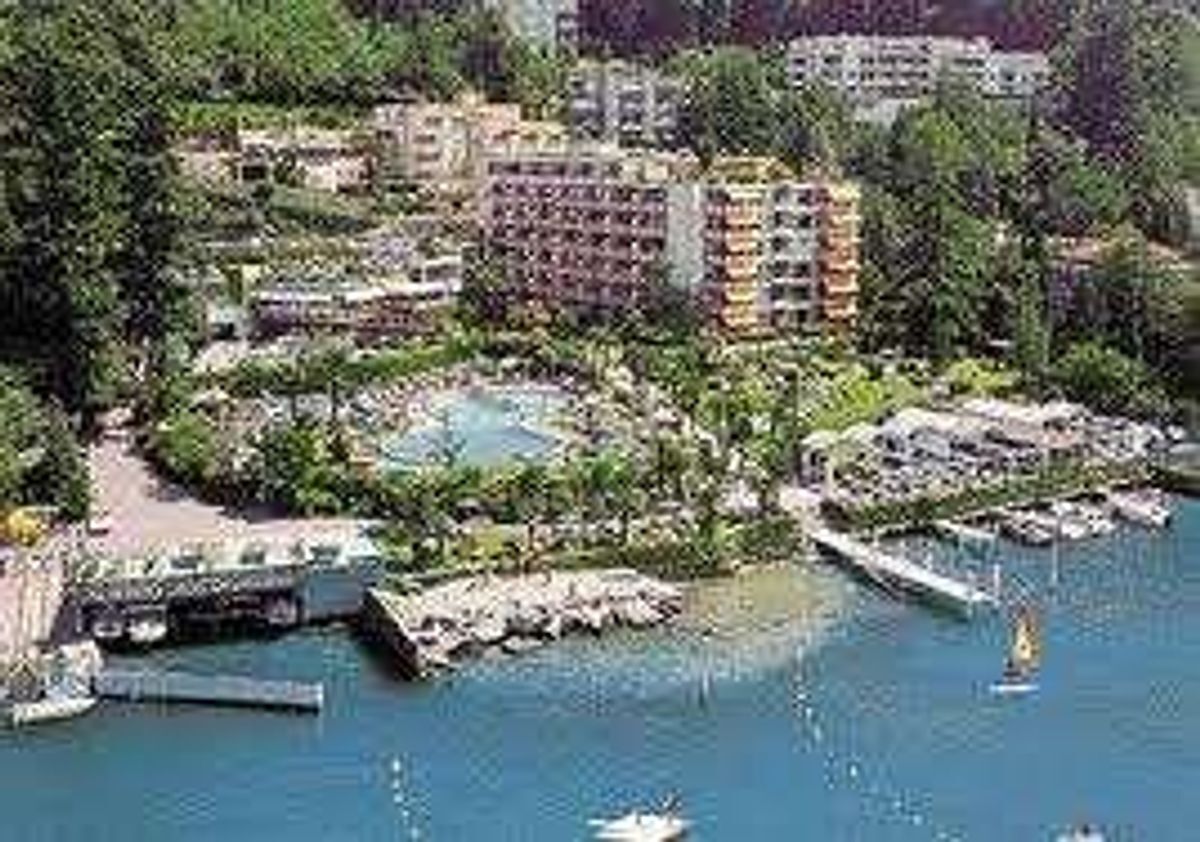 Immagine di copertina 2