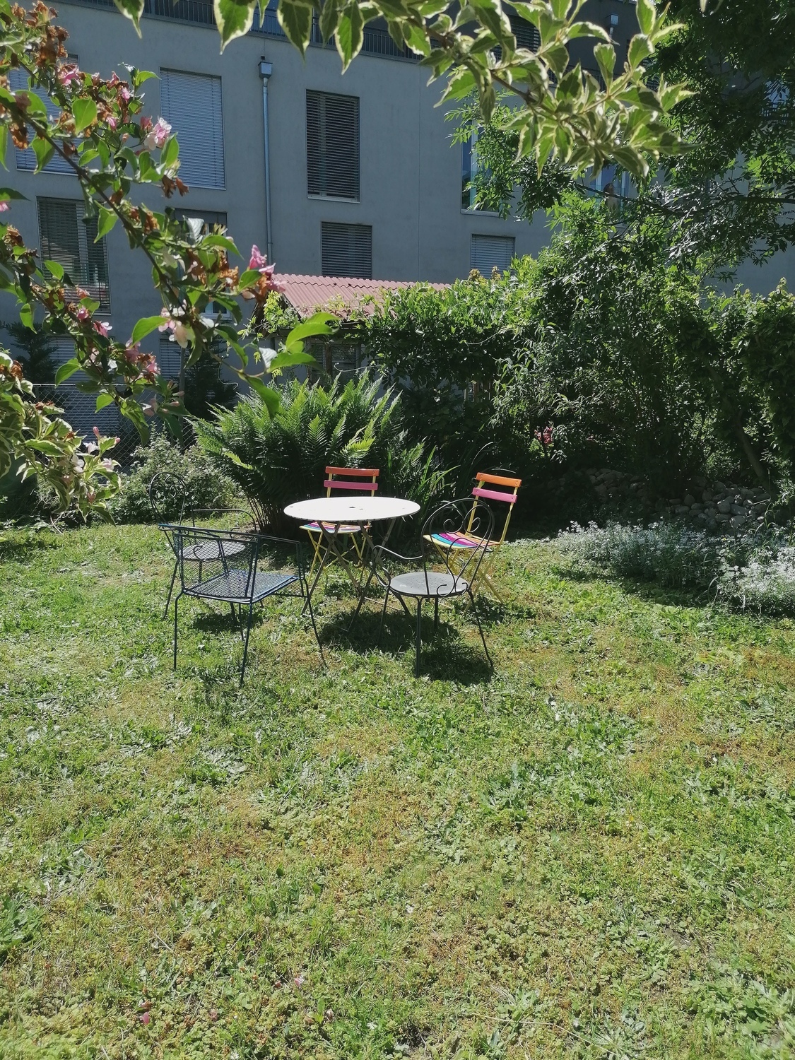 Photo 9