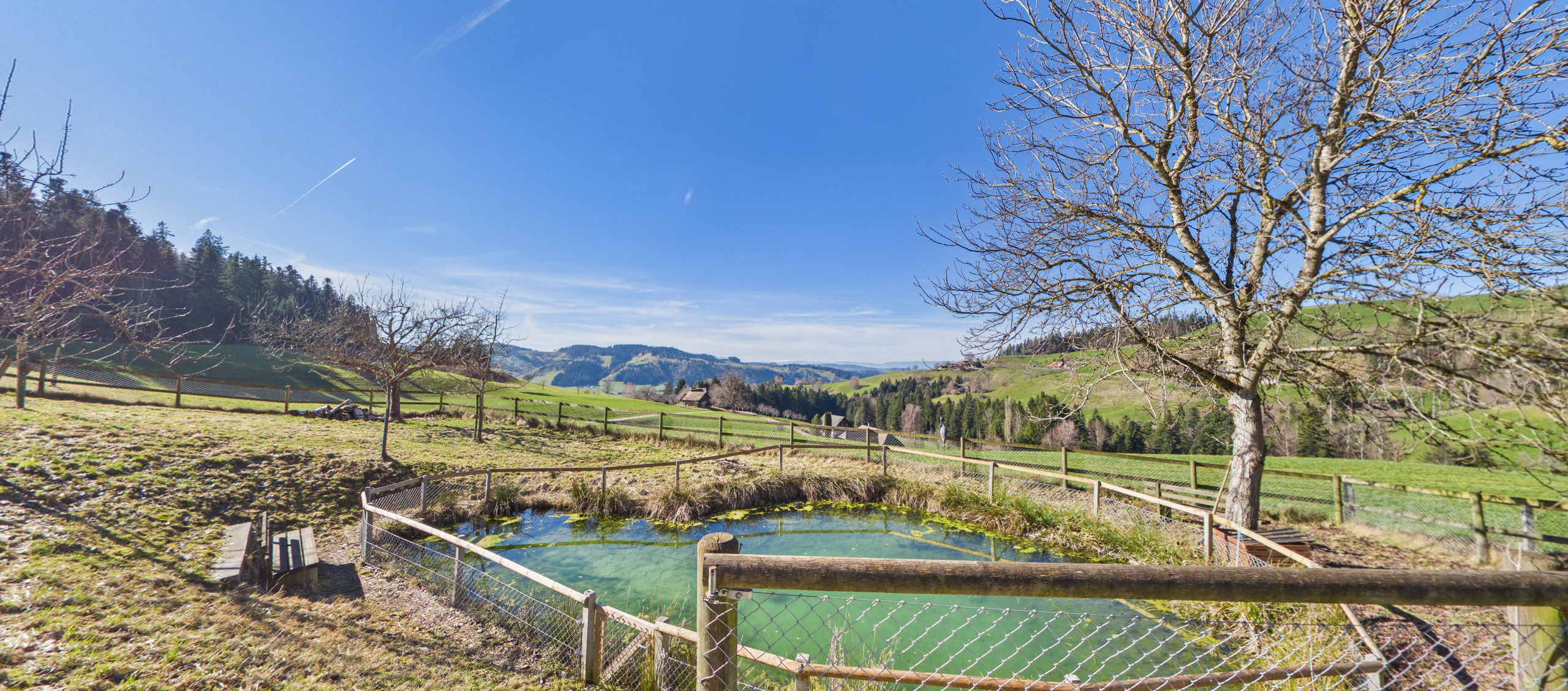 Geniessen Sie diese Aussicht 