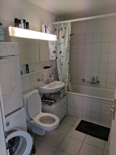 Picture 6