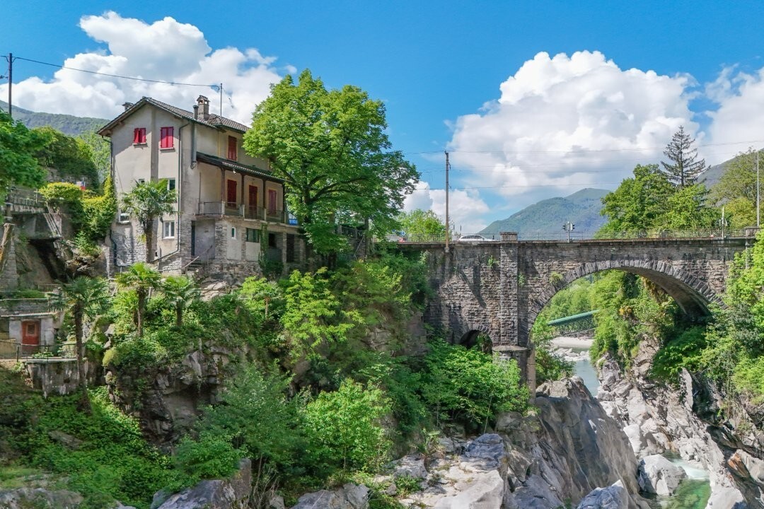 Immagine di copertina