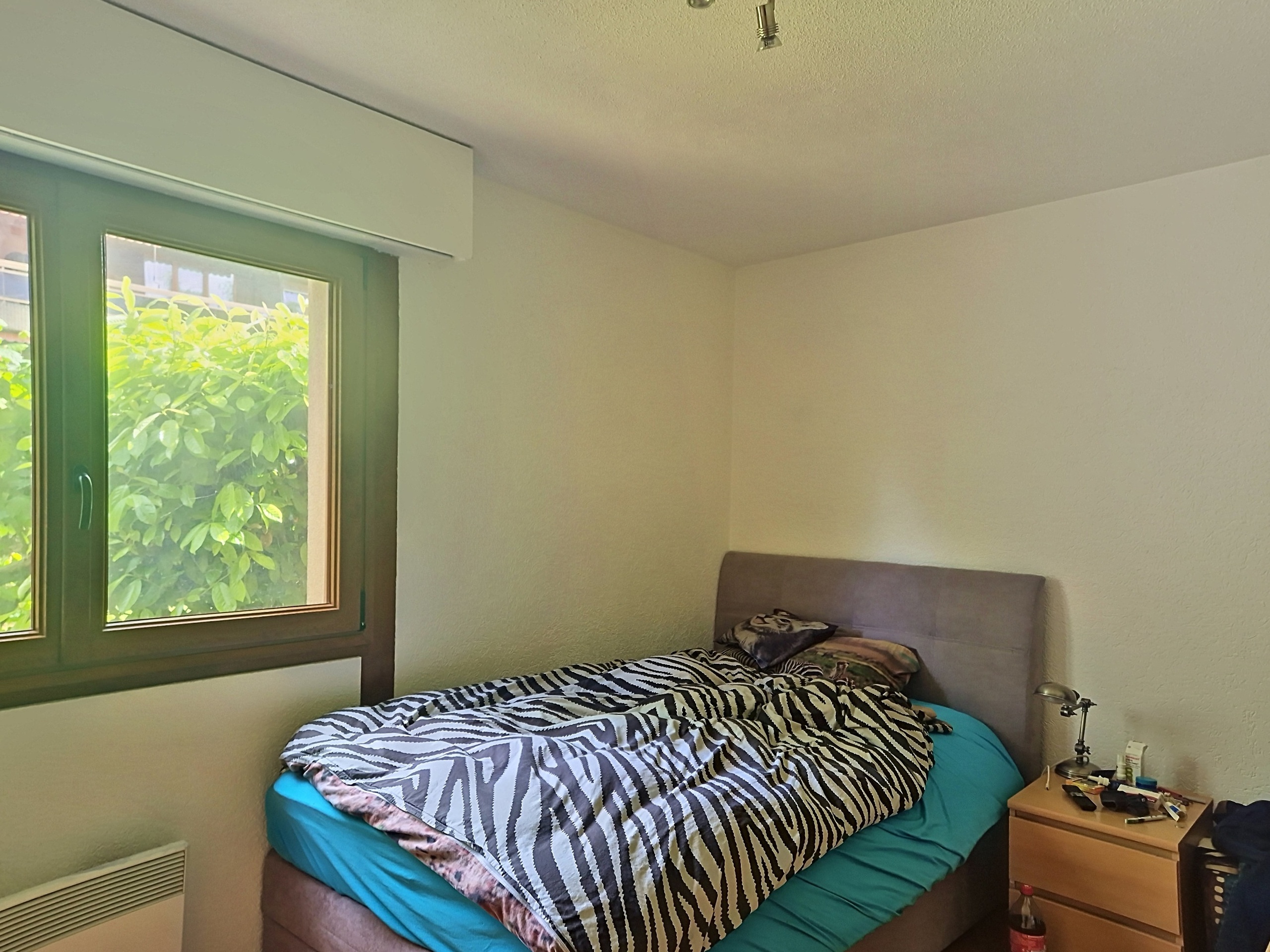 Photo 6