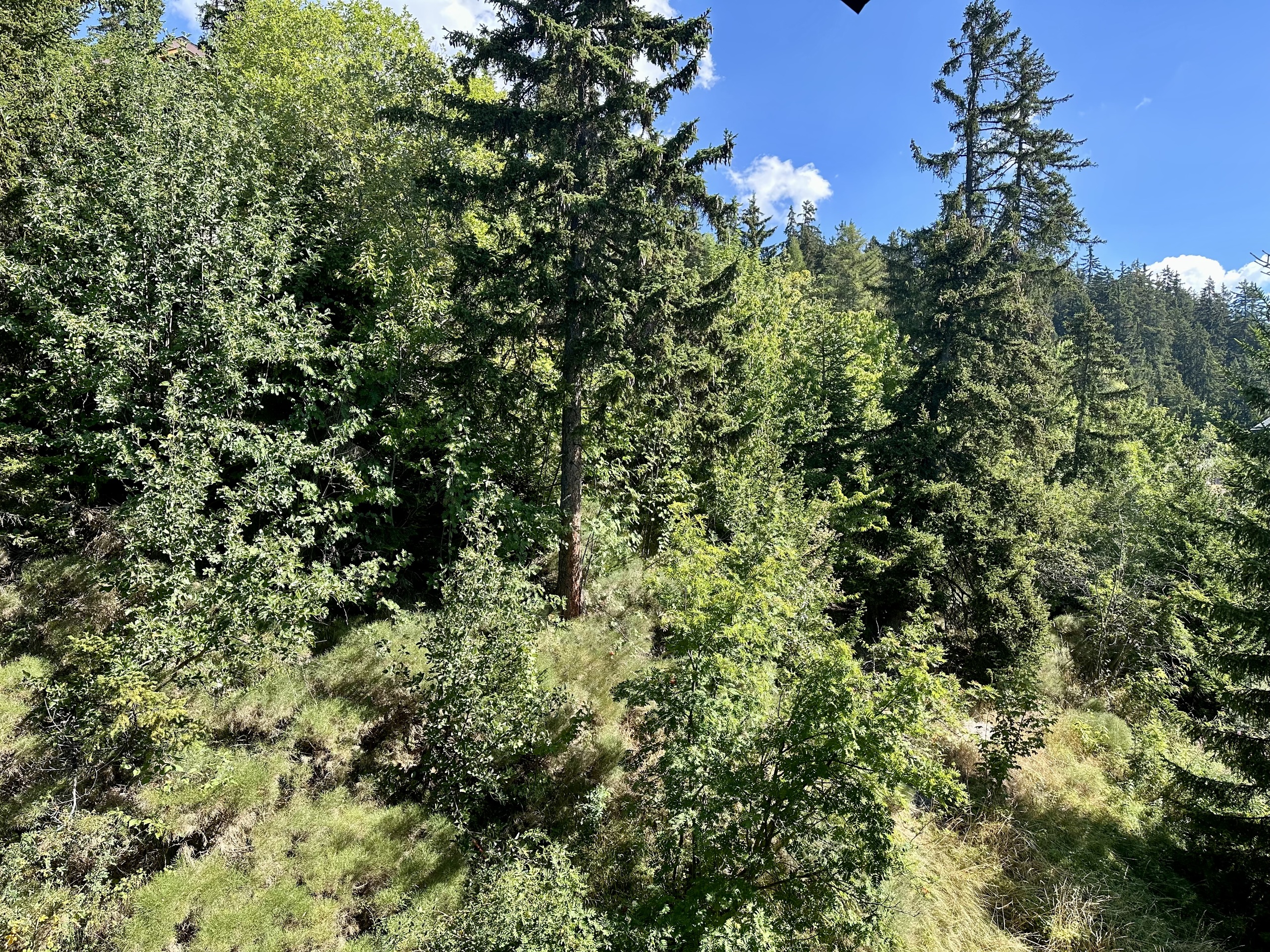 Picture 20