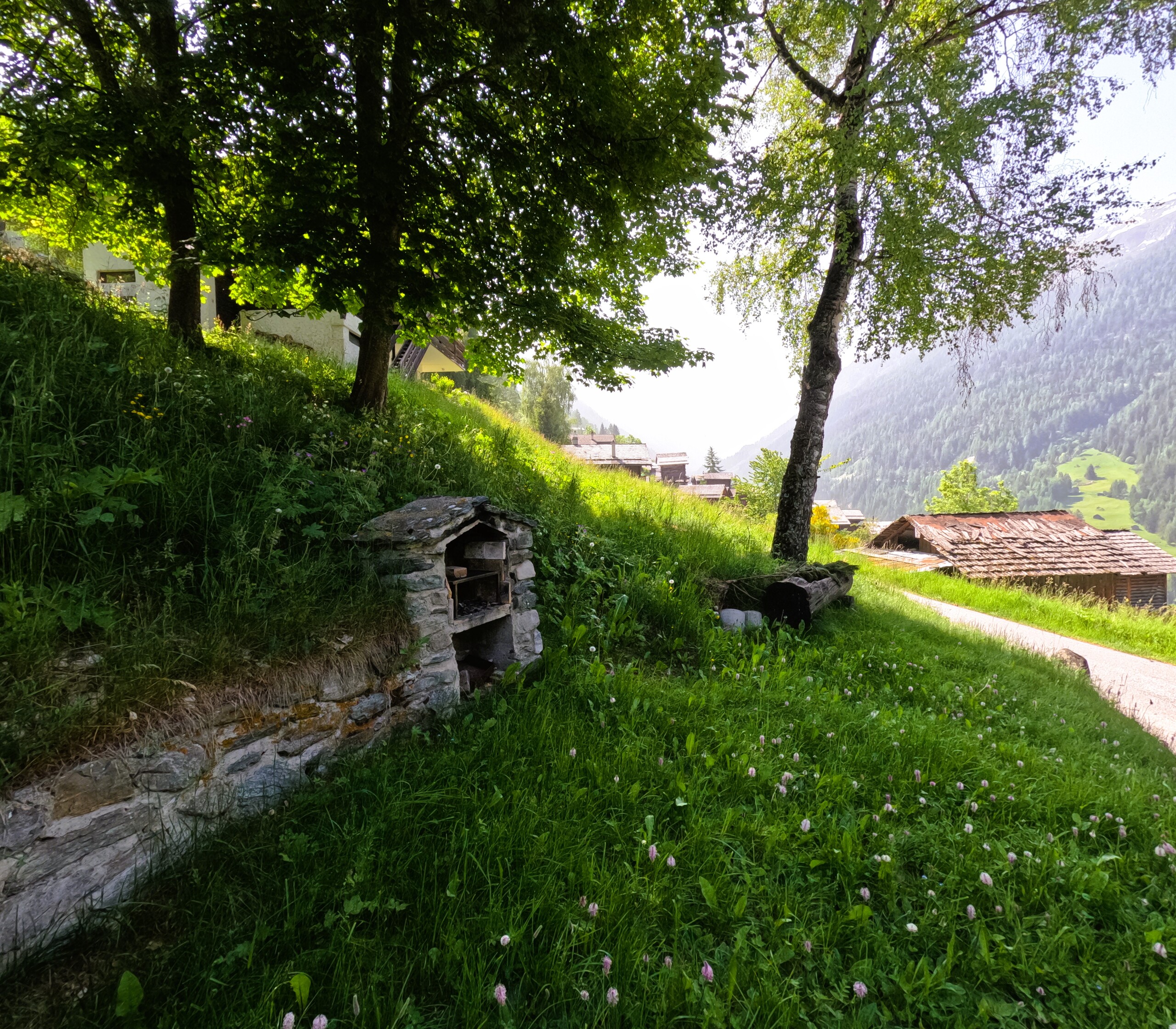 Espace barbecue et bassin d'eau  Espace barbecue et bassin d'eau