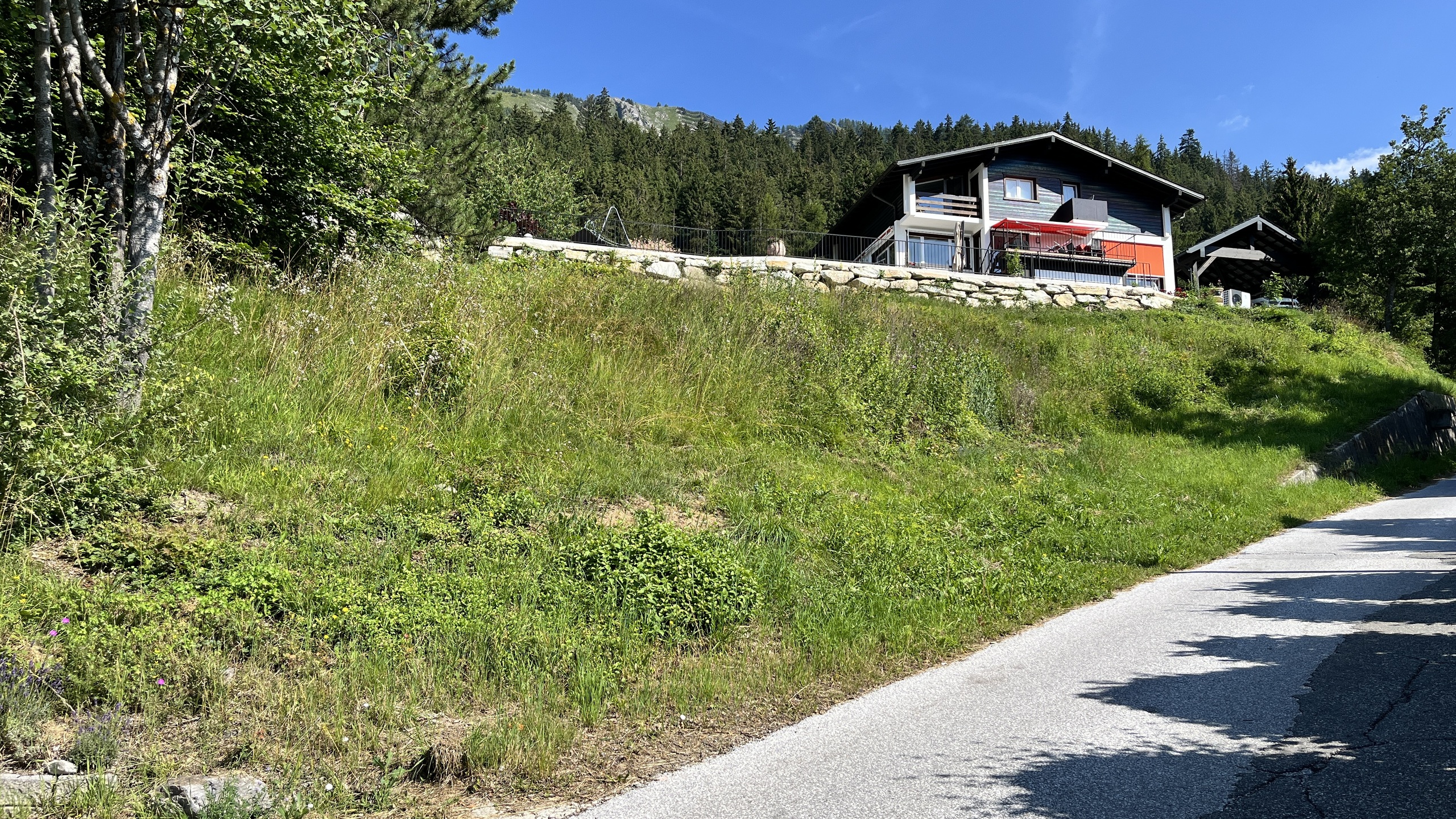 Vue de la parcelle Vue de la parcelle