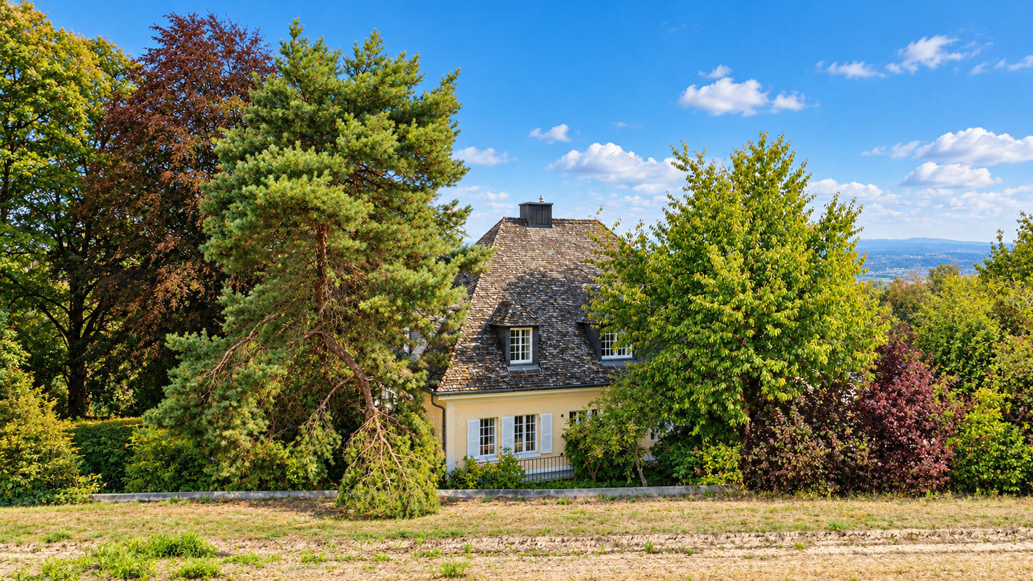 Aussenansicht 3