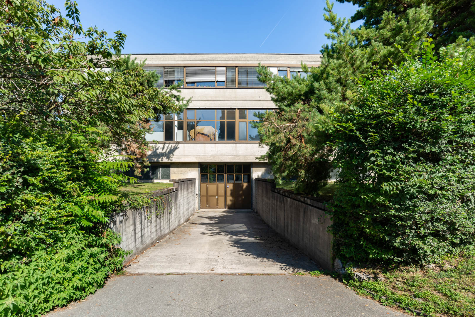 Immagine di copertina