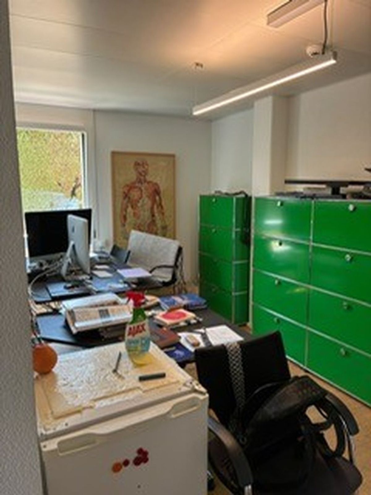 Foto 6