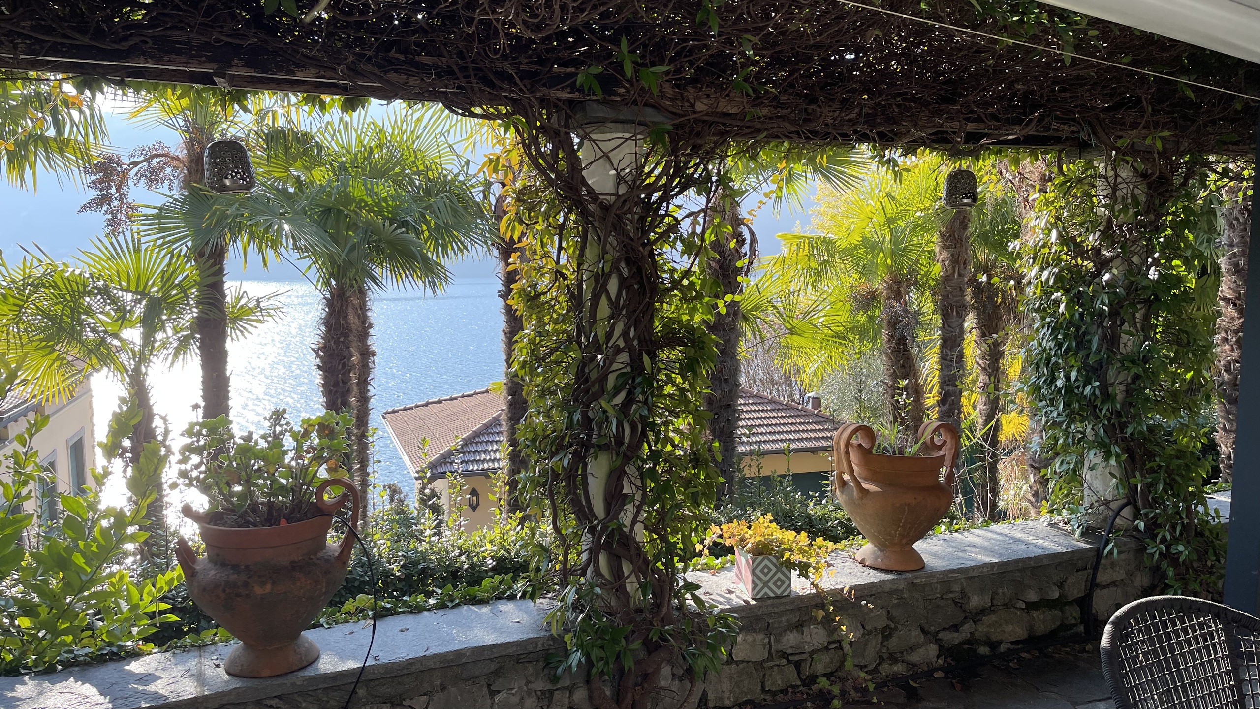 Immagine di copertina 1