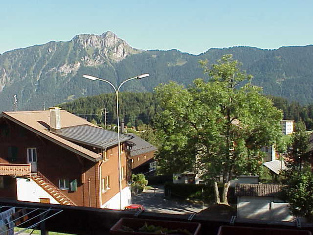 Photo 4