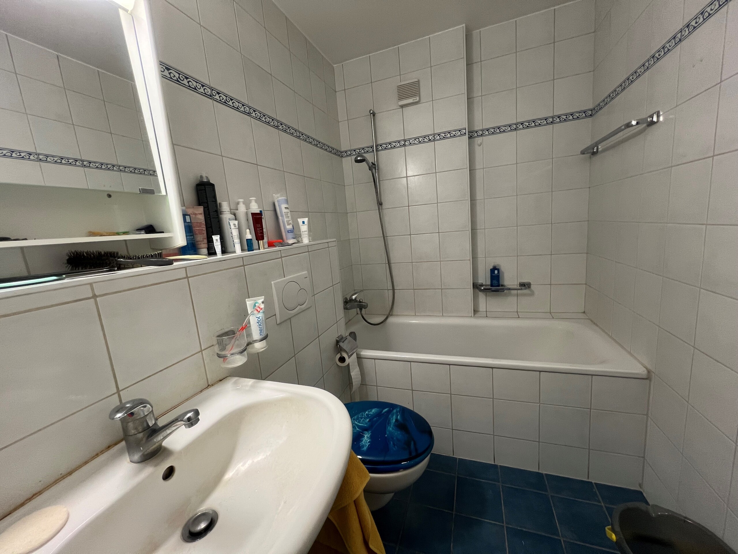 Salle de bains Salle de bains