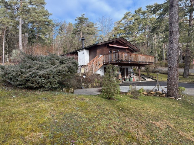 Immagine di copertina