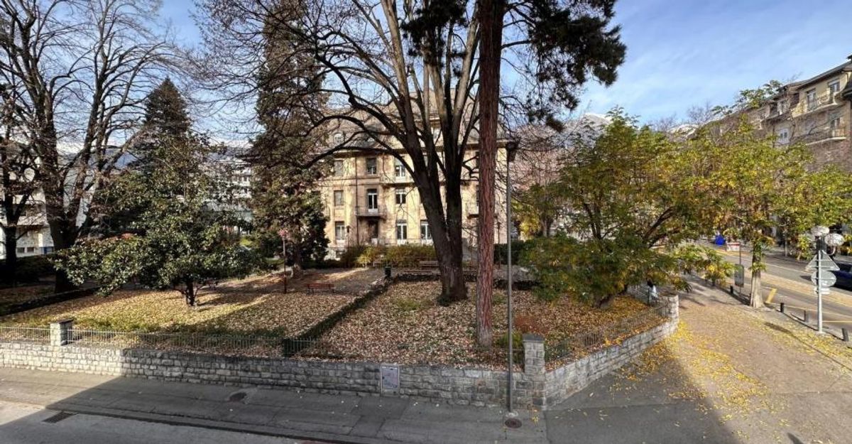 Foto 8