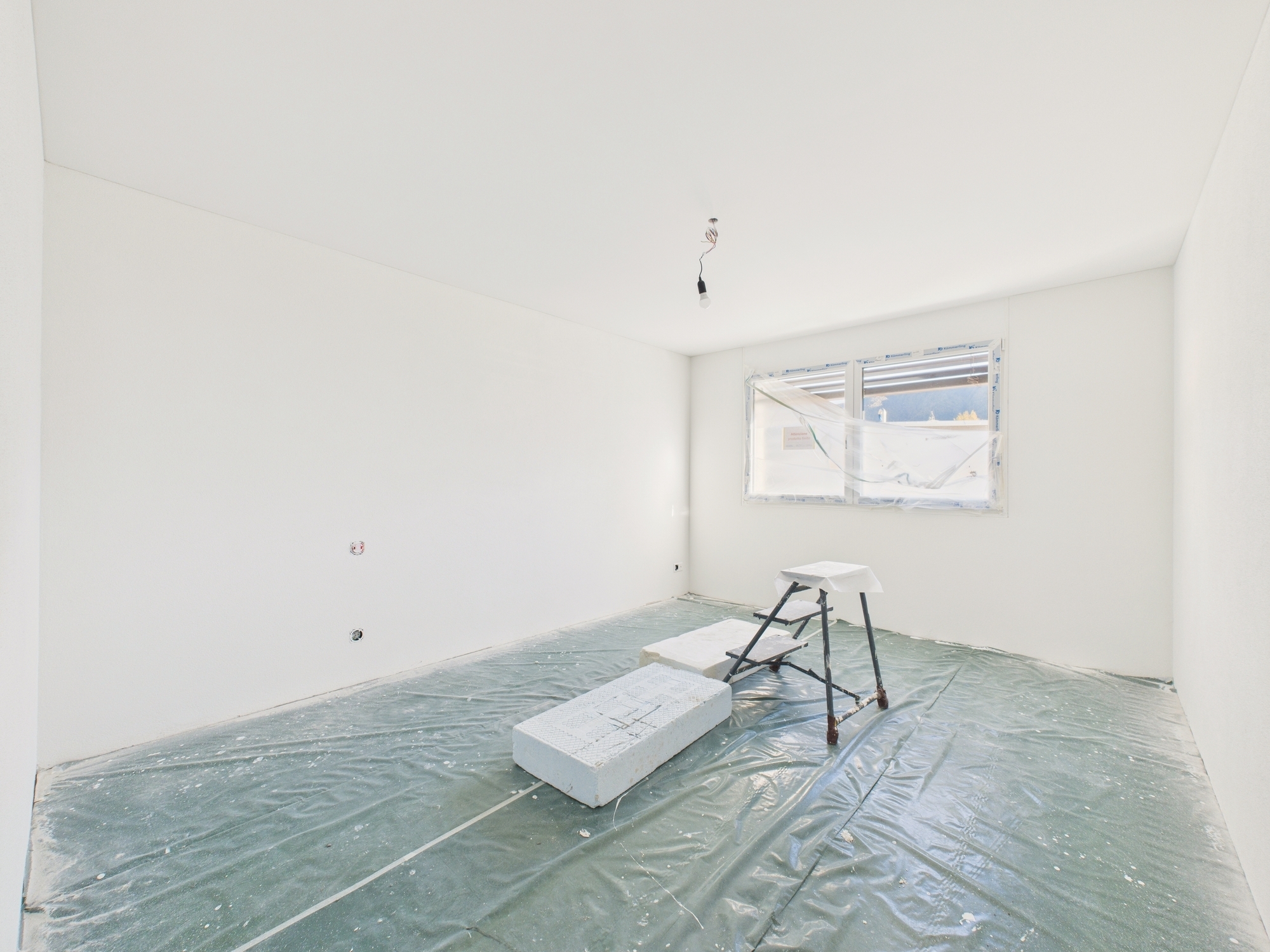 Image 7 Image 7