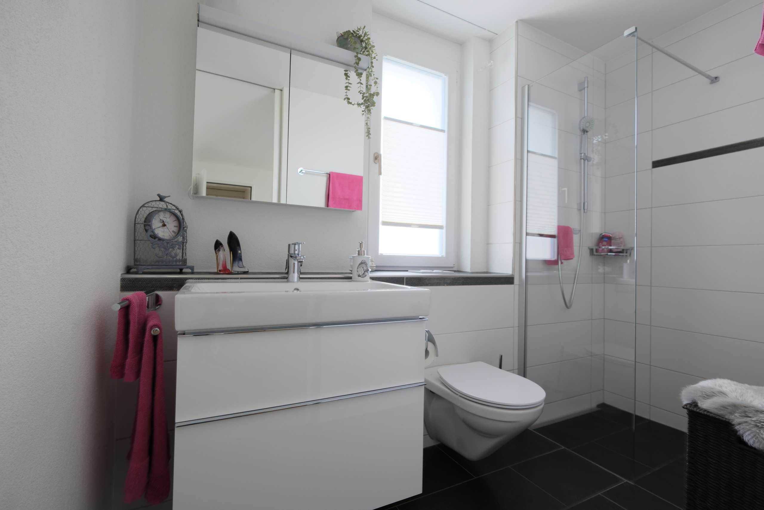 Badezimmer mit Dusche / Bad en Suite