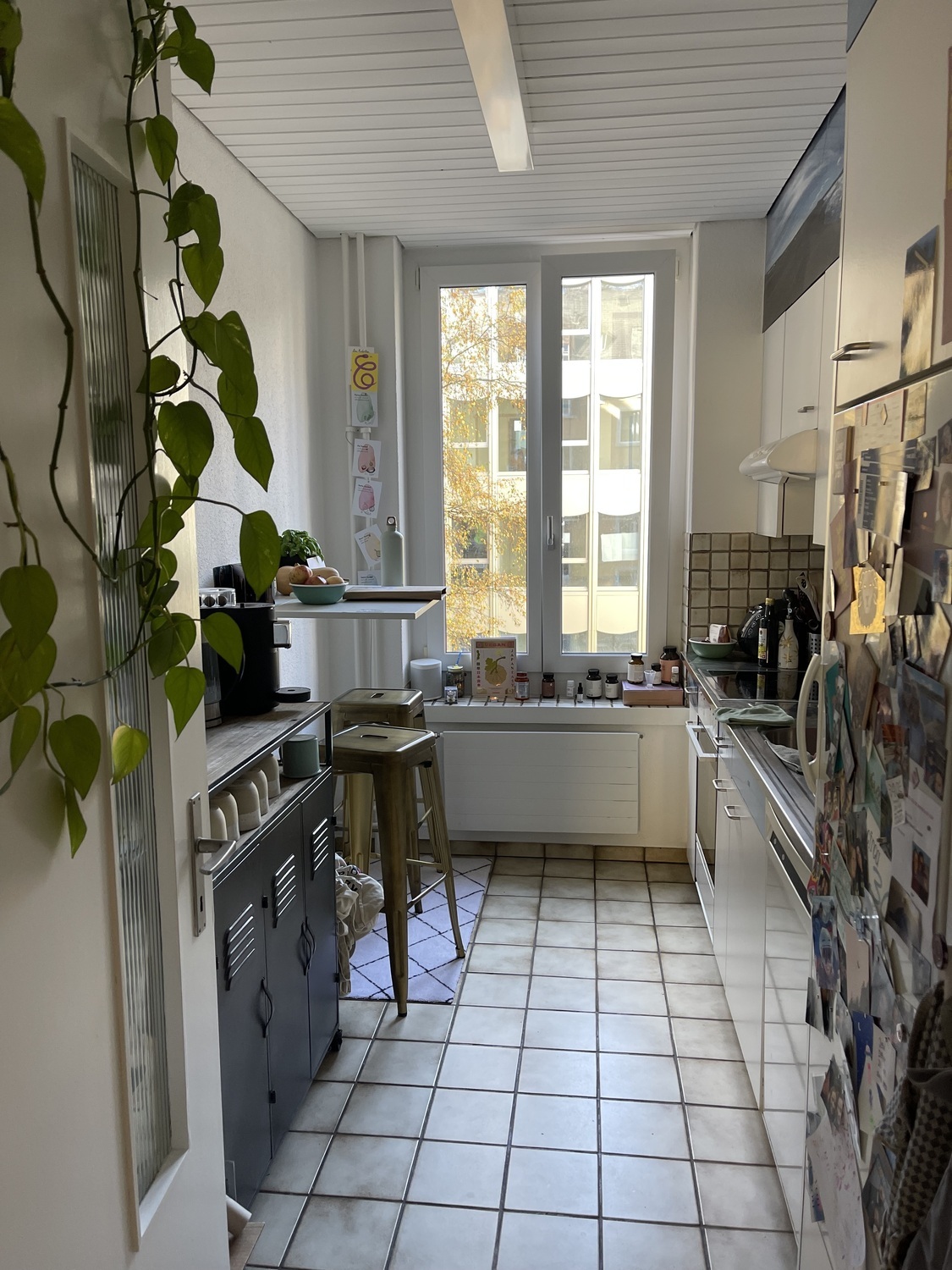 Foto 1