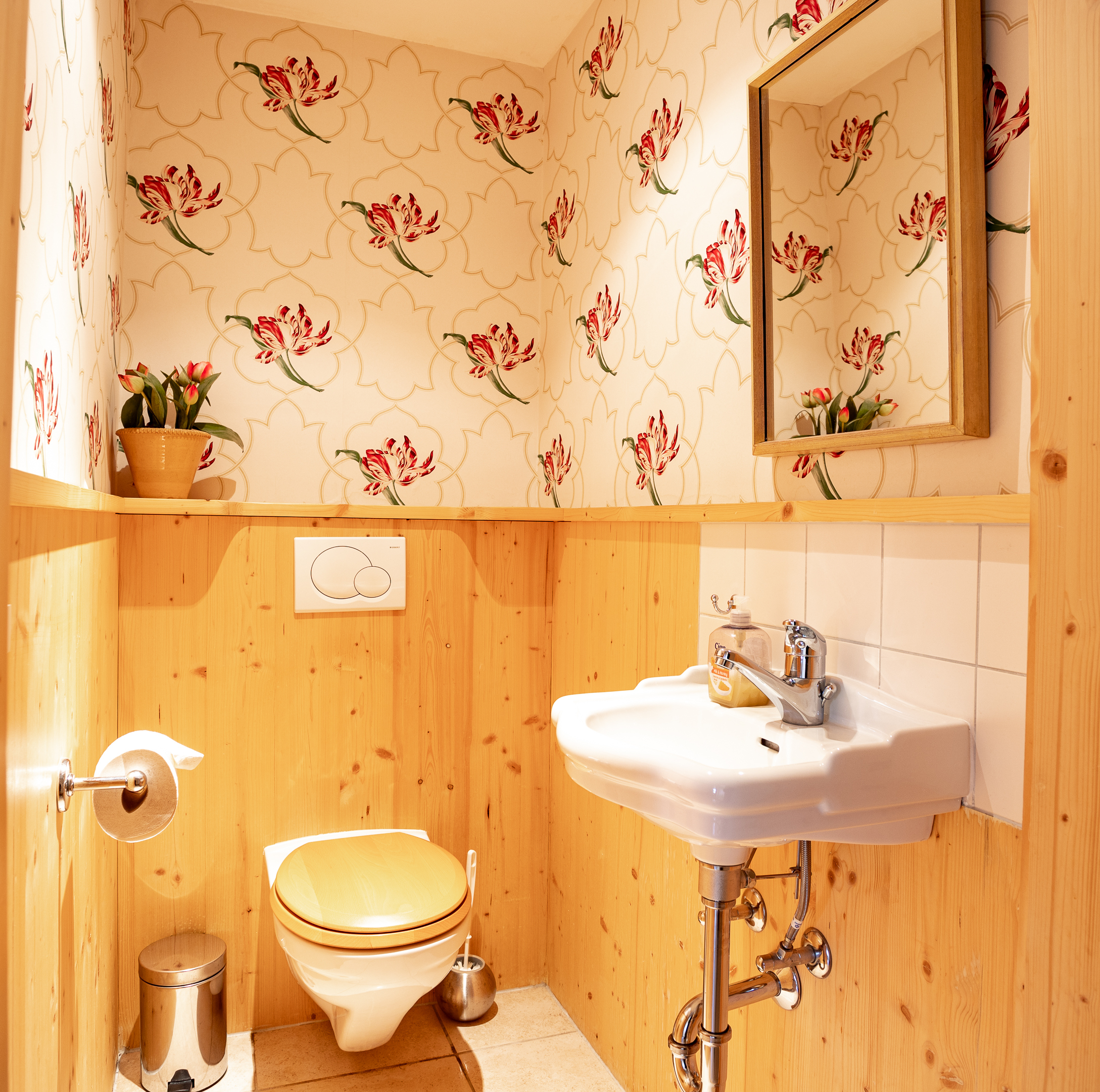 Picture 11