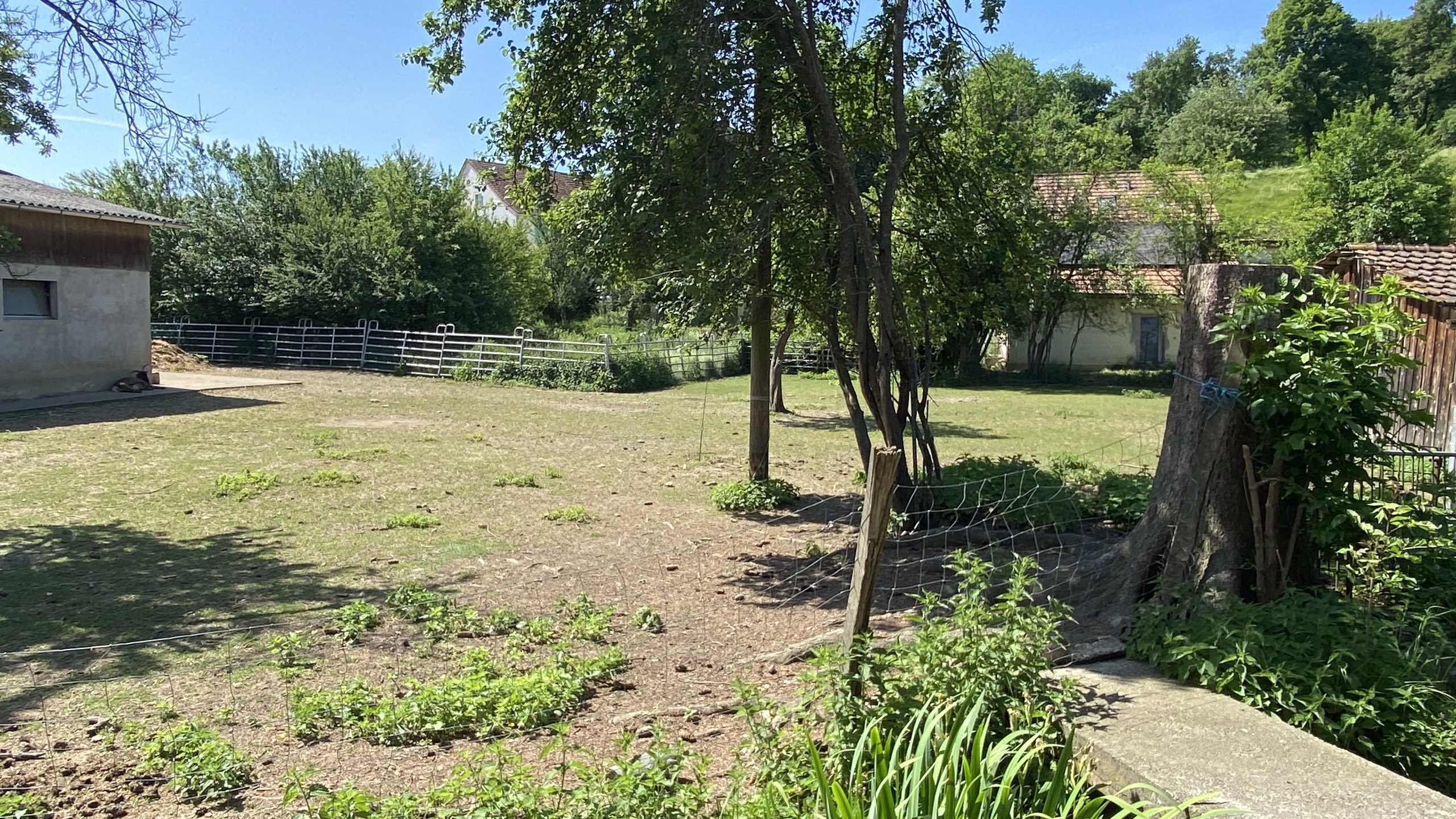 Picture 21