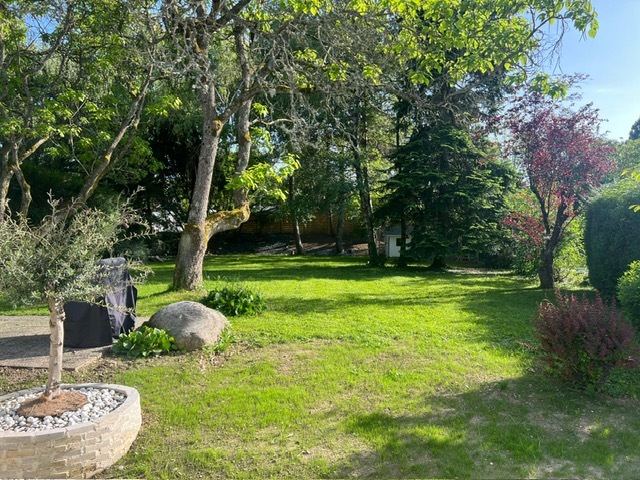 Picture 1